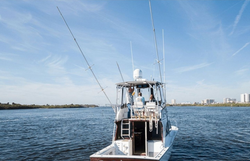 Hooked on the thrill of deep sea fishing
